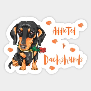 Addicted to Dachshunds! Especially for Doxie owners! Sticker